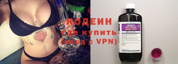 стаф Алзамай