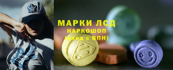 стаф Алзамай