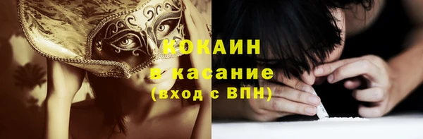 стаф Алзамай