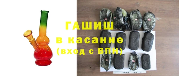 стаф Алзамай