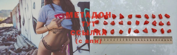стаф Алзамай
