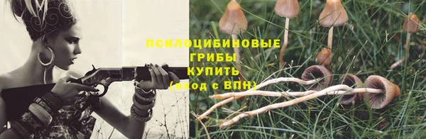 бошки Алексеевка