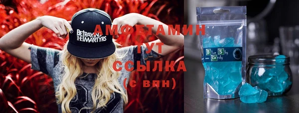 стаф Алзамай