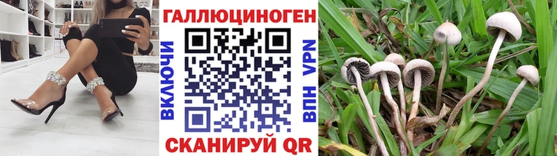 Псилоцибиновые грибы GOLDEN TEACHER  сайты даркнета какой сайт  Данков  blacksprut ONION 